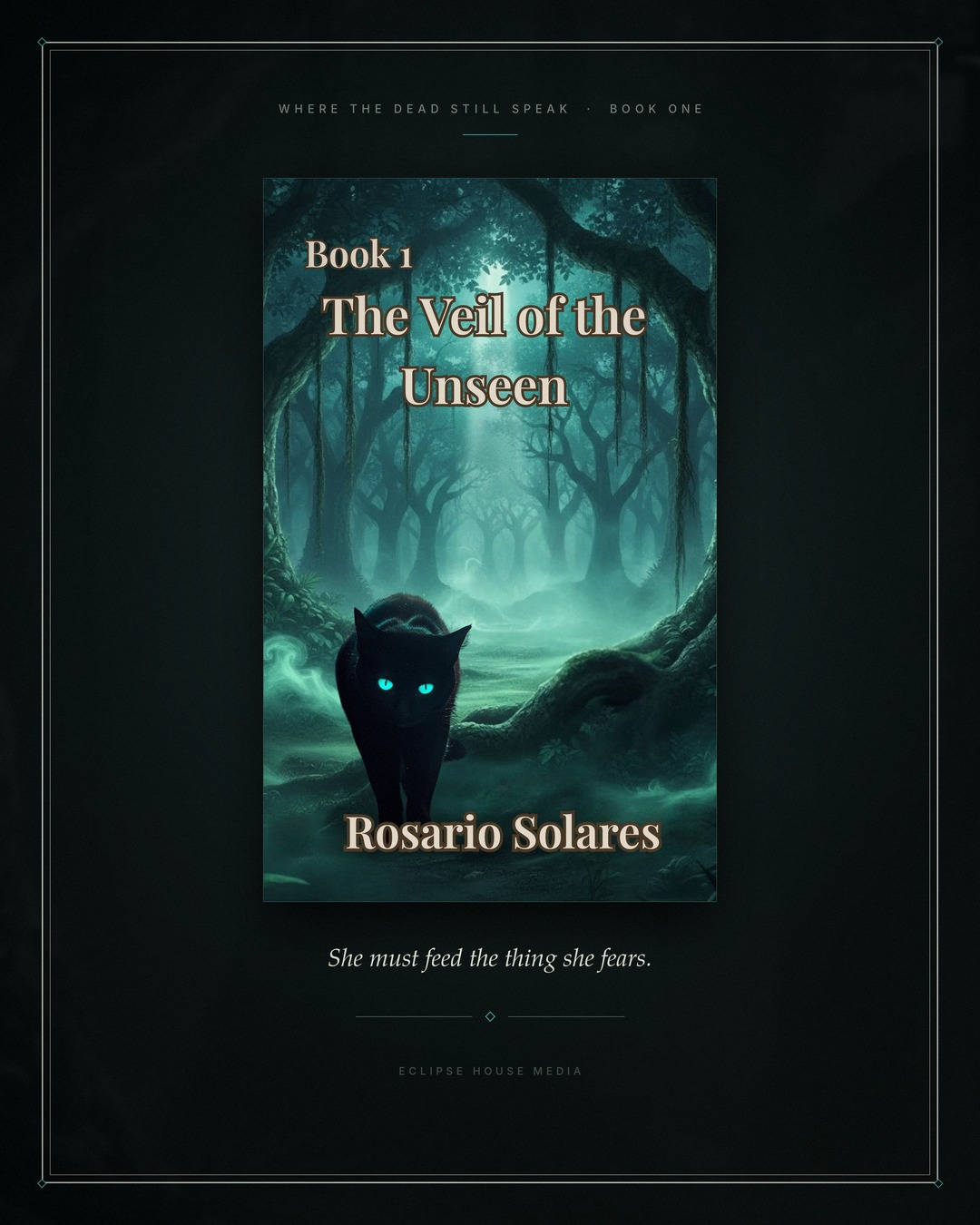 Book cover for Veil of the Unseen